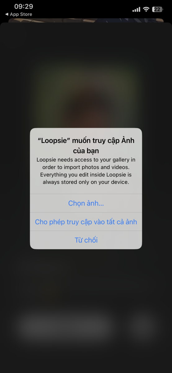 Loopsie