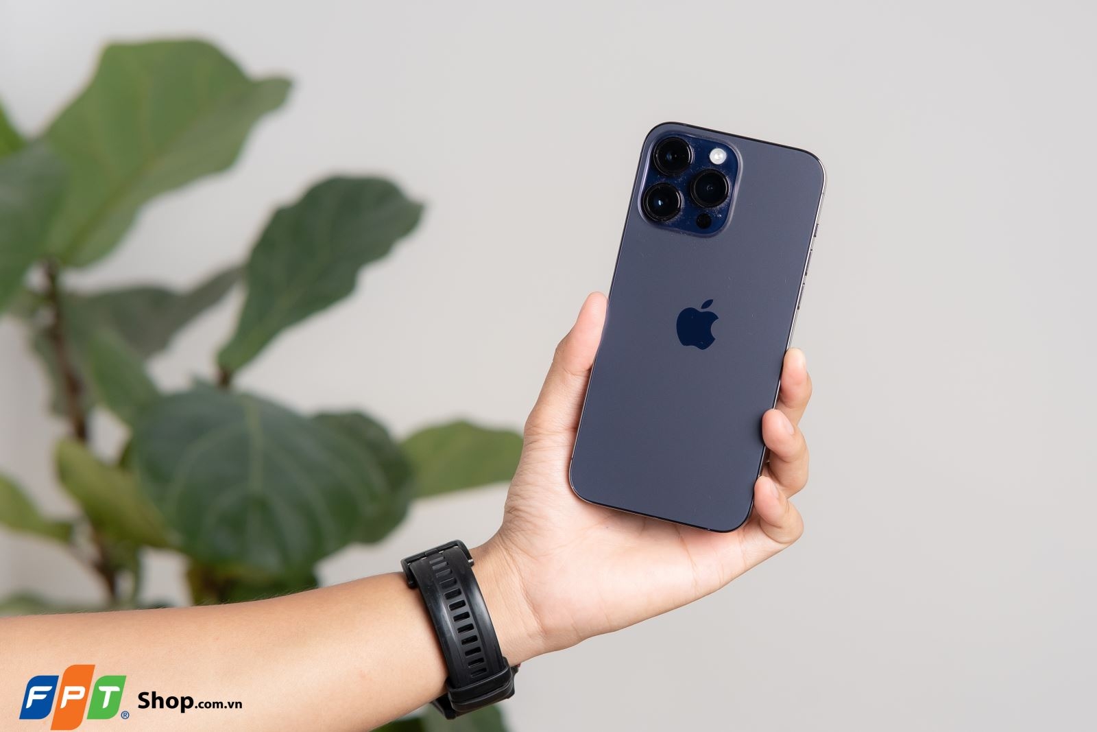 So sánh Nubia Z50 Ultra và iPhone 14 Pro Max (ảnh 2)