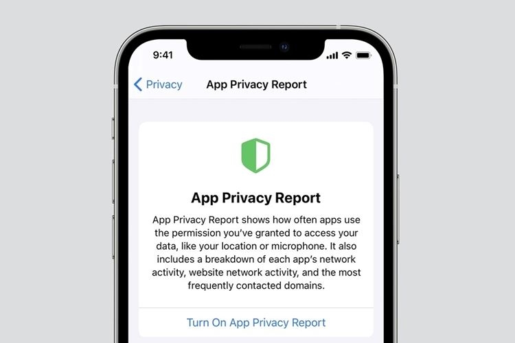 Cách bật báo cáo bảo mật ứng dụng trên iPhone 1