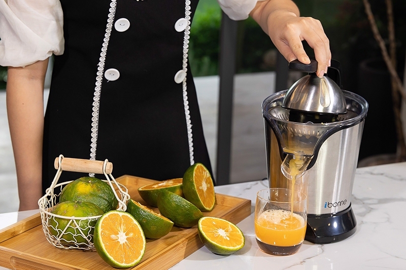 cách sử dụng máy vắt cam 6