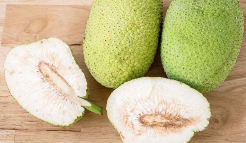 Chiên sake bằng nồi chiên không dầu hình 1