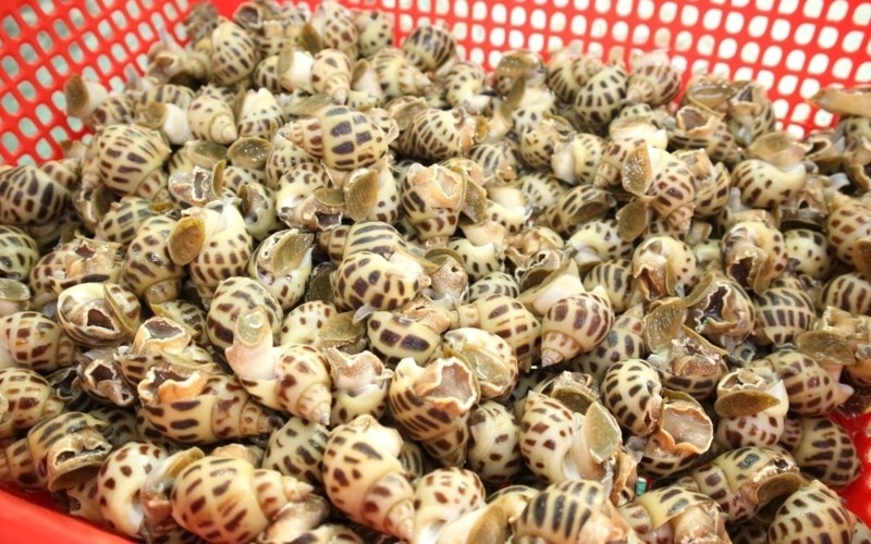 Nướng ốc hương bằng nồi chiên không dầu hình 5