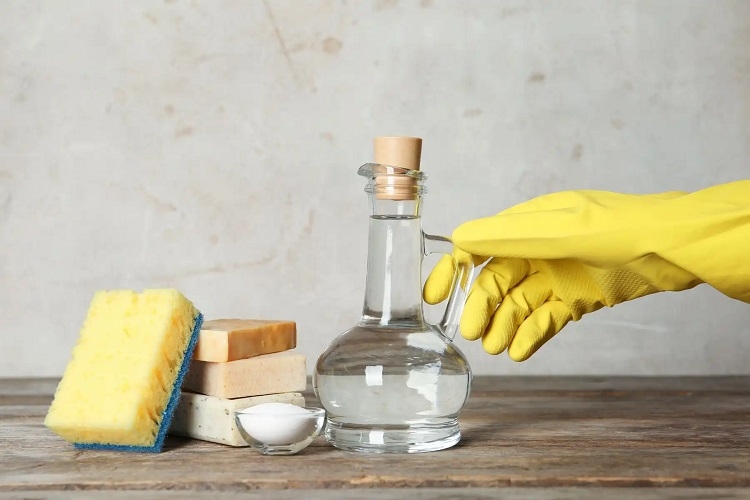 Chuẩn bị nguyên liệu, dụng cụ vệ sinh