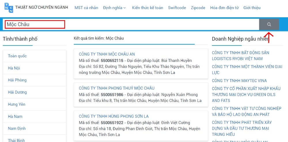Tra cứu thông tin người nộp thuế hình 11