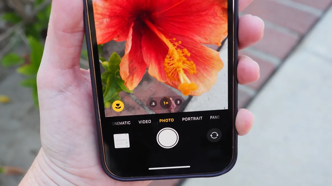 Chế độ Macro trên iPhone 14 Pro Max là công cụ hữu ích giúp bạn ghi lại hình ảnh hoa cỏ, côn trùng hay đồ vật kích thước nhỏ một cách ấn tượng