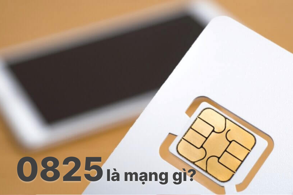 0825 là mạng gì? SIM 0825 phù hợp với những đối tượng nào? - Hình 1