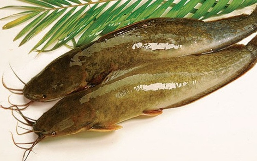 Nguyên liệu chuẩn bị