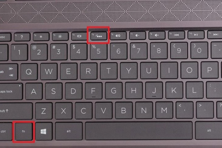 Bật mí cách bật đèn bàn phím laptop HP (Hình 7)