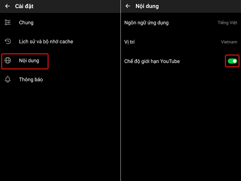 Cách bật chế độ giới hạn YouTube trên ứng dụng Pure Tuber - hình 4