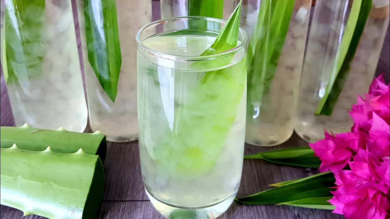 cách nấu nha đam đường phèn 1