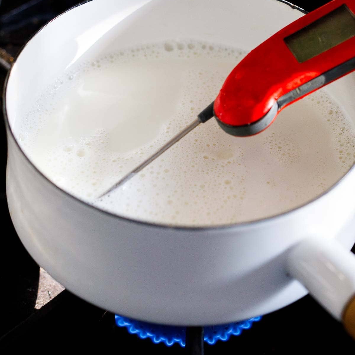 cách làm sữa chua - hình 2