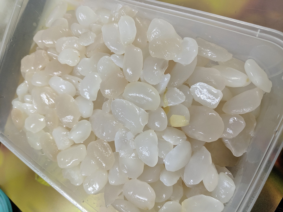 hạt đác - hình 4