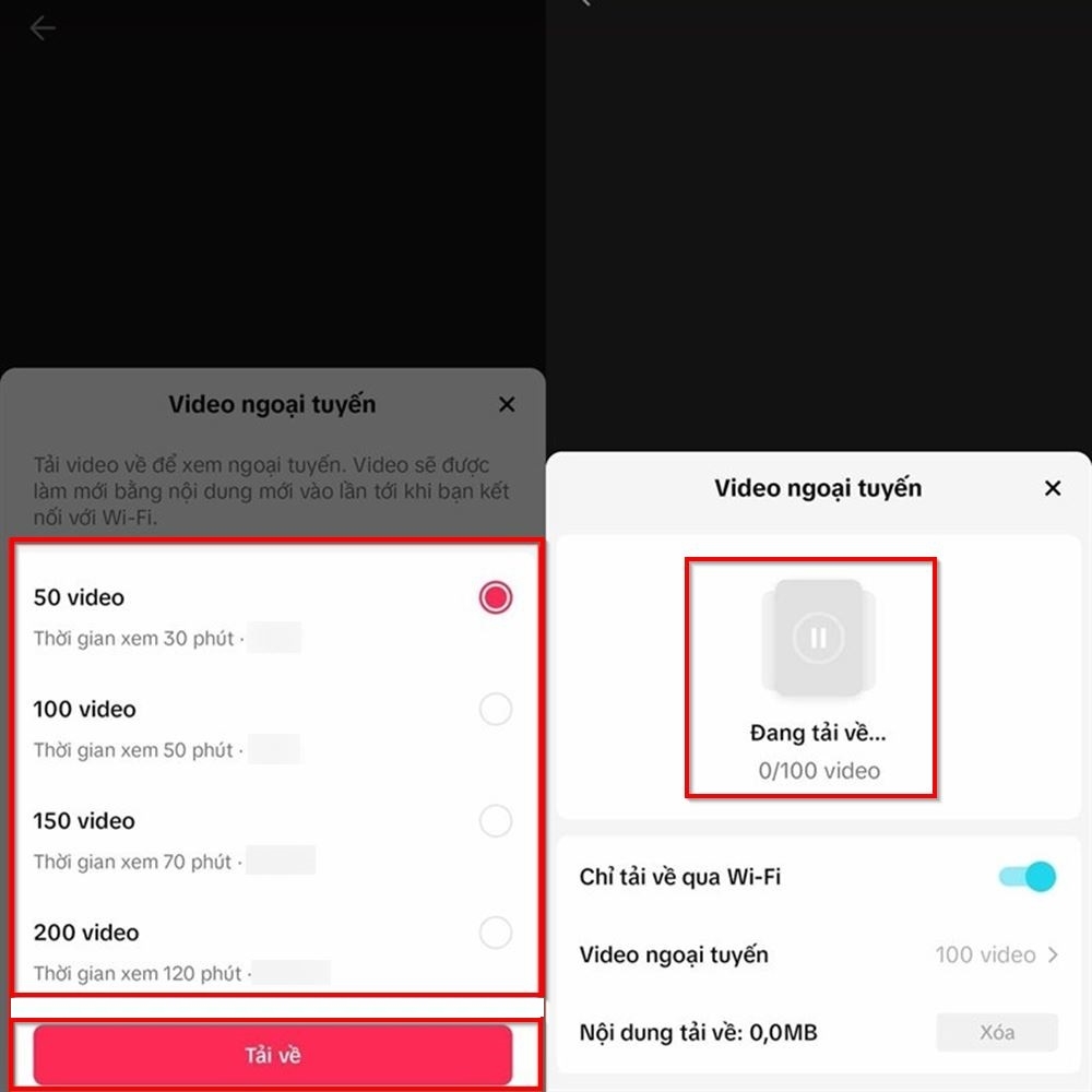 Cách xem TikTok offline 3