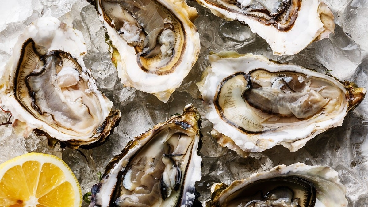 Chọn đúng loại hàu tươi ngon sẽ giúp món cháo của bạn ngon ngọt, đậm đà