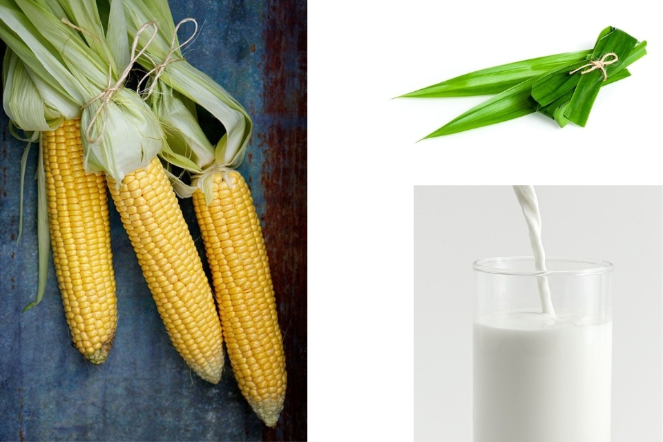 cách làm sữa ngô bắp (ảnh 1)