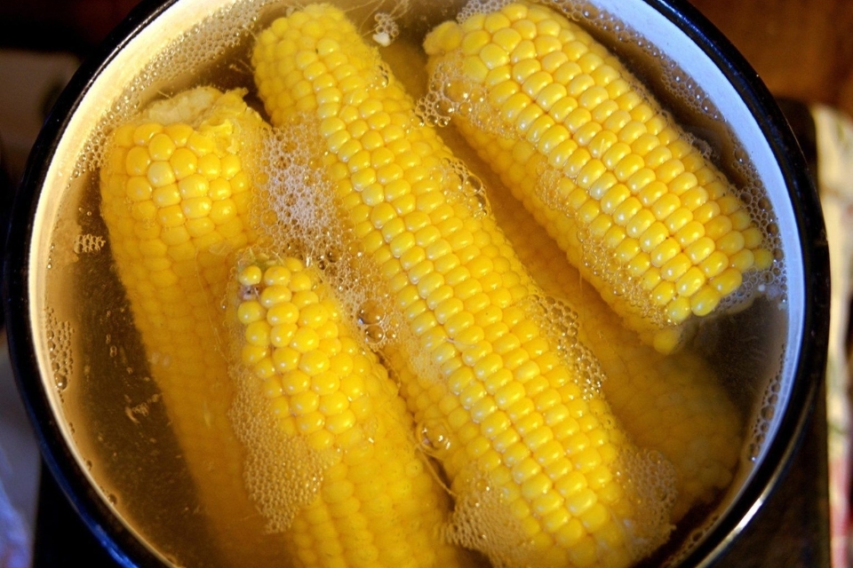 cách làm sữa ngô bắp (ảnh 2)