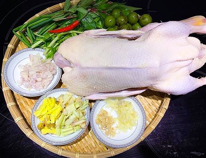 vịt om sấu 2