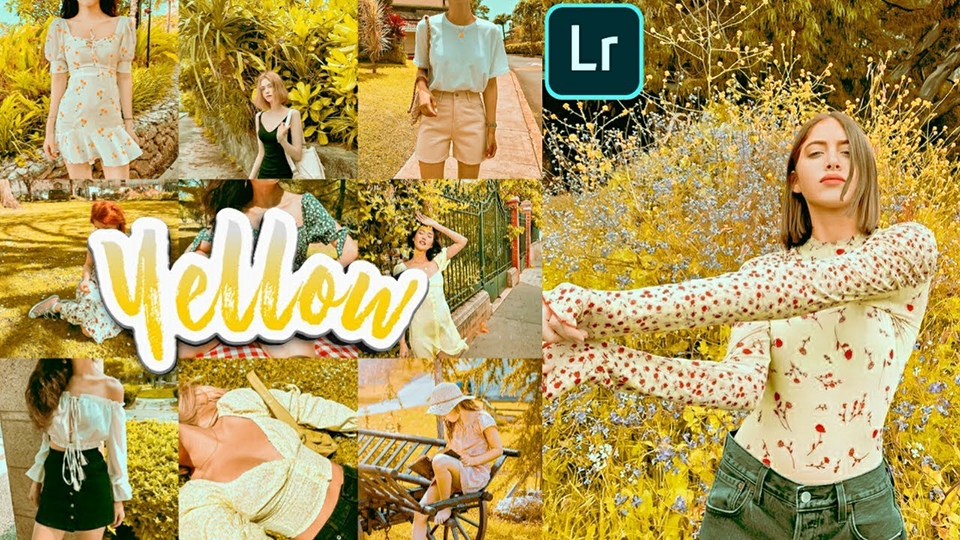 Màu Lightroom vàng