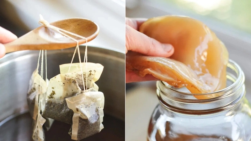 Nuôi Scoby đòi hỏi sự kiên nhẫn và cẩn thận từng bước