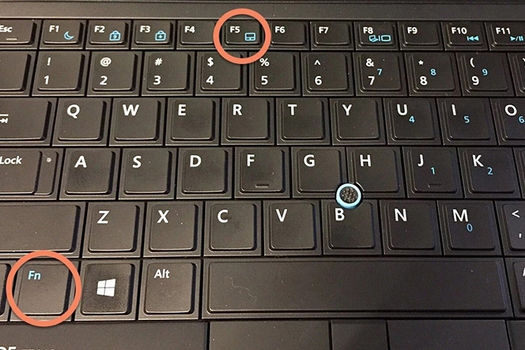 Nguyên nhân gì khiến laptop bị mất chuột cảm ứng? Có những cách nào để khắc phục (Hình 2)