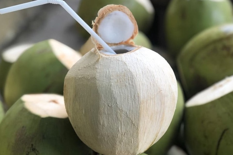 Uống nước dừa giúp làm tăng tiểu cầu cho người bị sốt xuất huyết