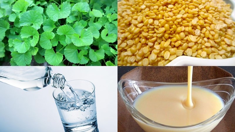 Các nguyên liệu cần thiết để làm rau má đậu xanh