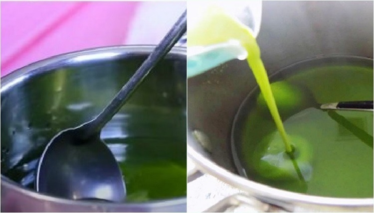 Nấu rau câu lá dứa