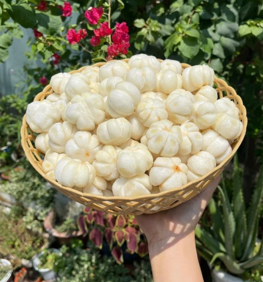 gỏi gà măng cụt - hình 2