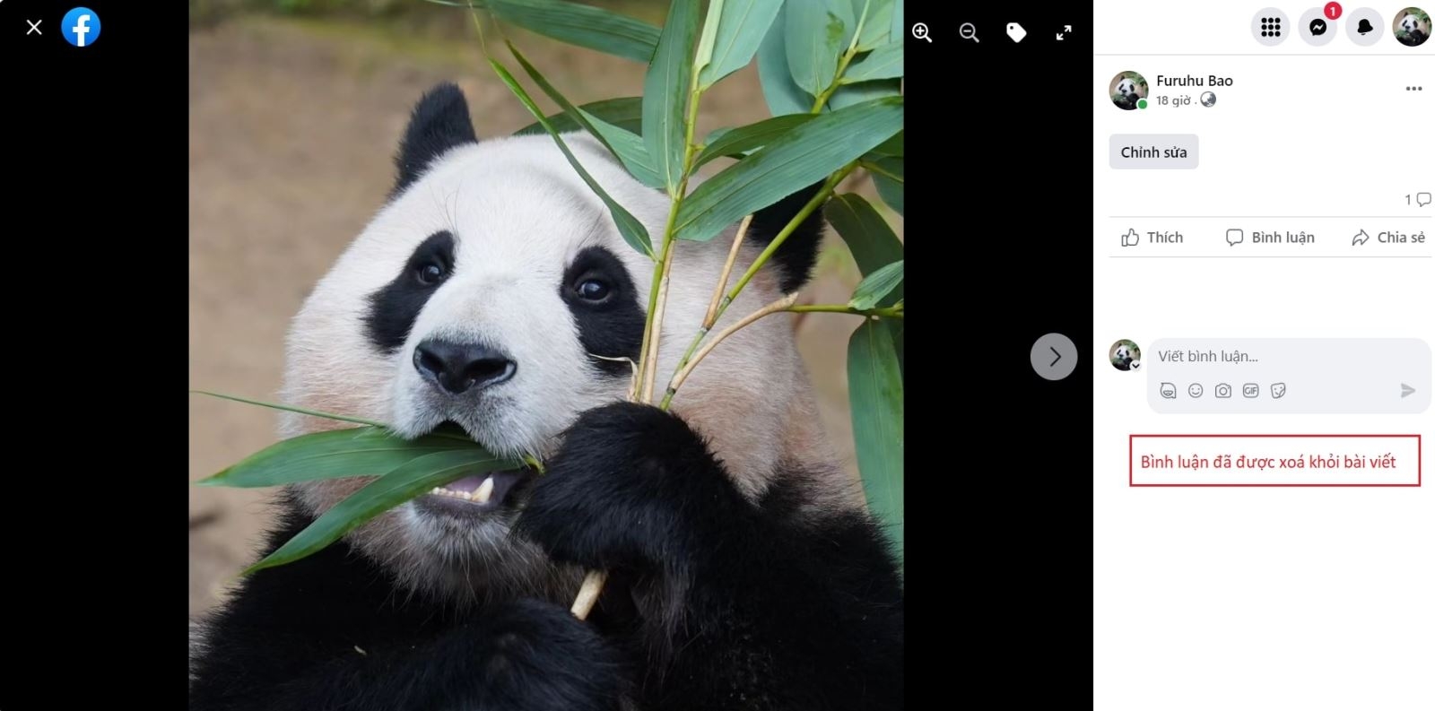 Cách xóa bình luận trên Facebook bằng máy tính (Bước 5)