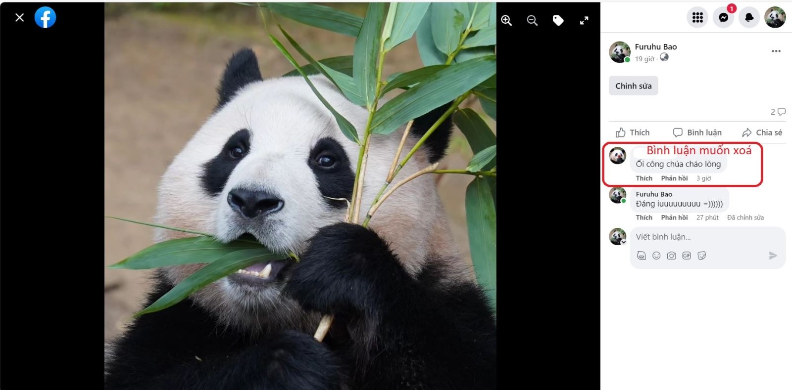 Tìm bình luận của người khác