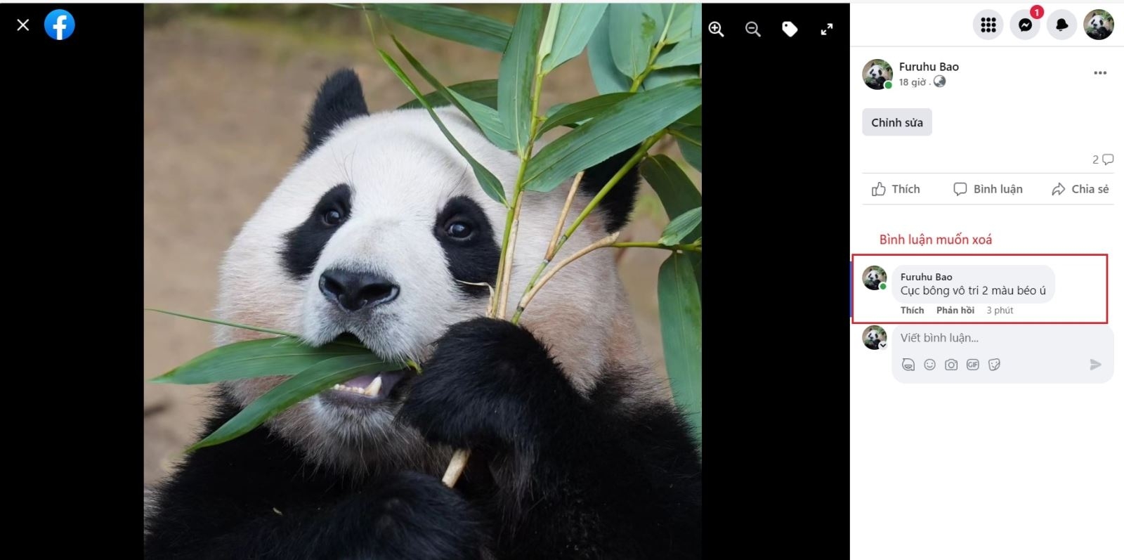 Cách xóa bình luận trên Facebook bằng máy tính (Bước 2)