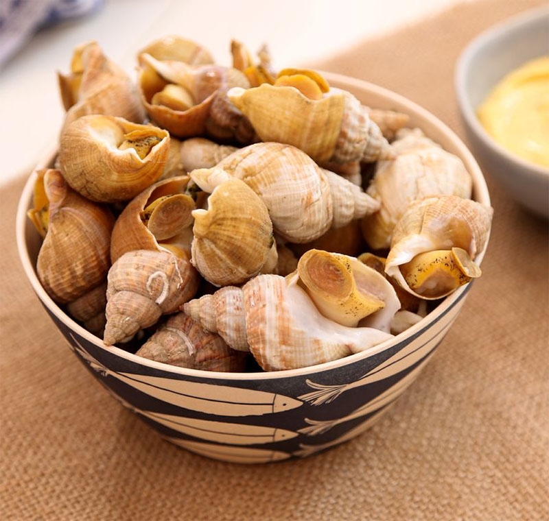 Giá ốc bulot Pháp thường cao hơn ốc Ireland