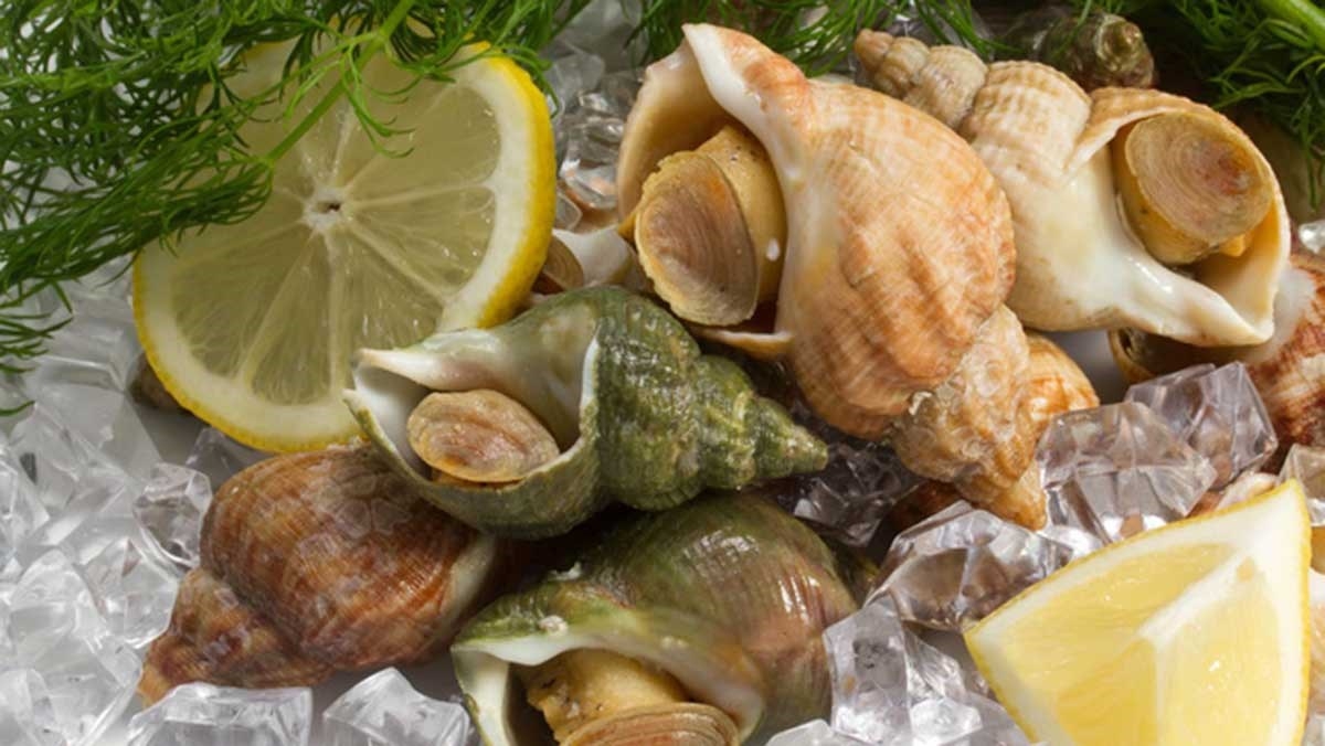Tùy vào loại ốc tươi hay đông lạnh, sẽ có cách sơ chế khác nhau