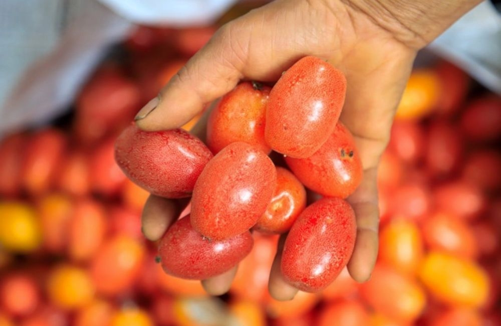 Lợi ích của quả nhót