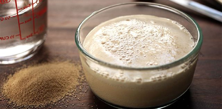 Hòa men nở với nước và đường, sau đó ủ tầm 10 phút