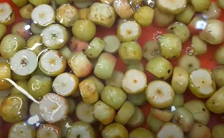 Sơ chế táo mèo