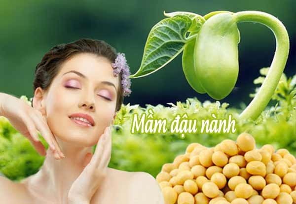 Mầm đậu nành sở hữu nhiều hoạt chất có lợi cho sức khỏe và làn da nữ giới
