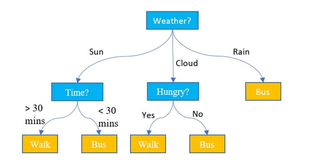 Các thuật toán phổ biến nhất