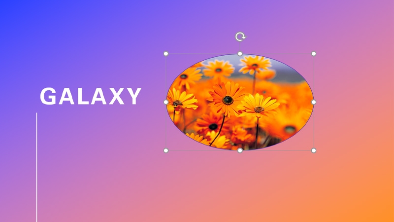 Chèn hình vào Shape trong PowerPoint - hình 7