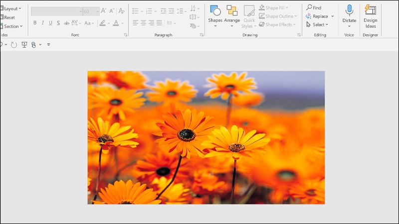 Chèn hình vào Shape trong PowerPoint - hình 8
