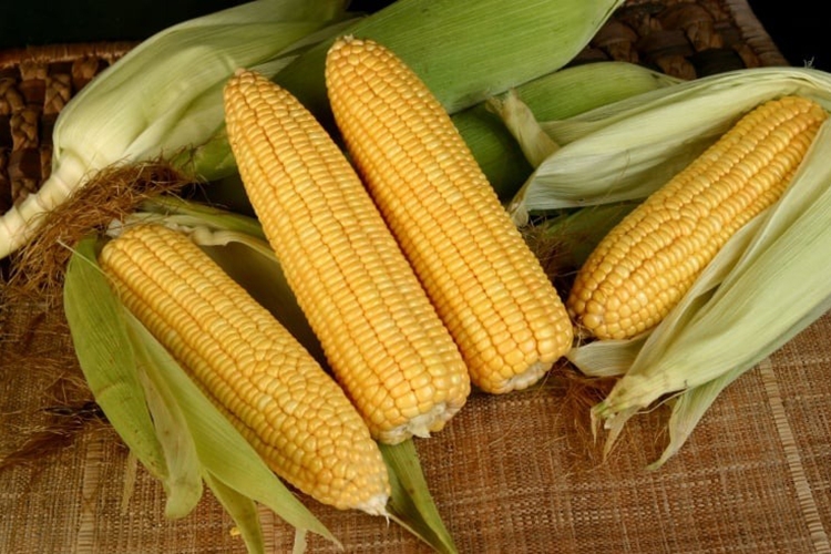 Chia sẻ cách nấu chè ngô cốm nước cốt dừa, ngọt thơm béo ngậy, cả nhà thích mê (Hình 2)