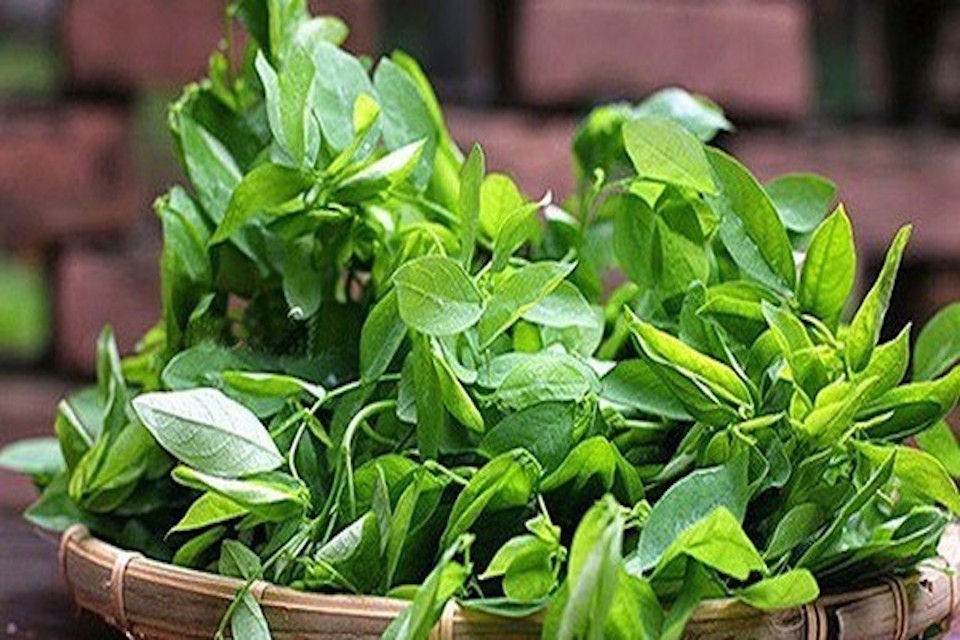 cách nấu canh rau ngót (ảnh 1)