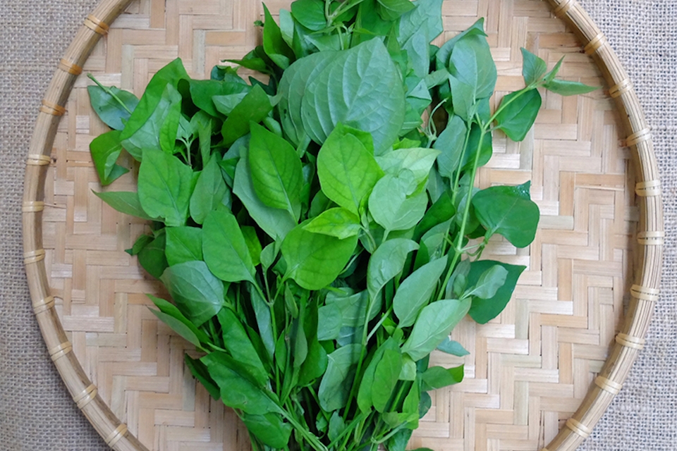 cách nấu canh rau ngót (ảnh 2)