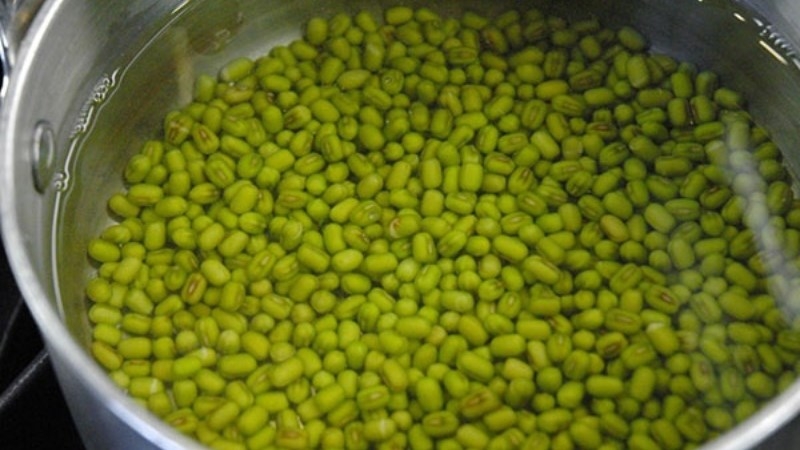 Ngâm đậu xanh trong nước