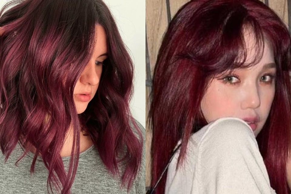 Nâu đỏ phúc bồn tử mới lạ