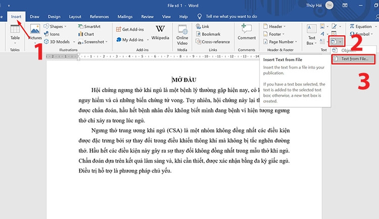 Cách ghép file Word thành một file duy nhất nhanh chóng áp dụng cho 2 hoặc nhiều file (Hình 2)