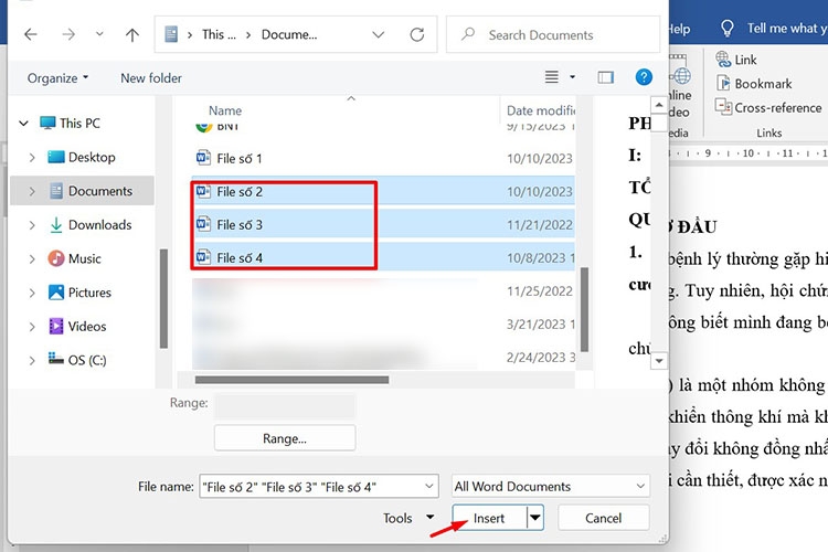 Cách ghép file Word thành một file duy nhất nhanh chóng áp dụng cho 2 hoặc nhiều file (Hình 3)