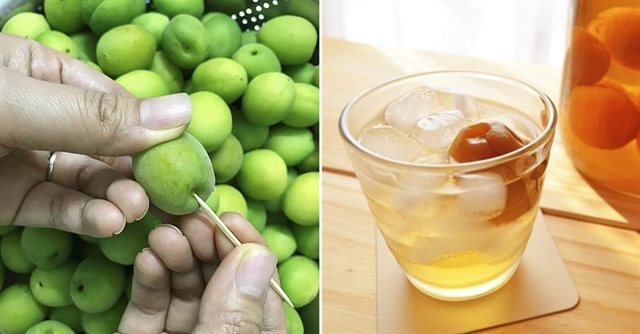 Cách chế biến rượu mơ Umeshu Nhật Bản bằng mơ xanh