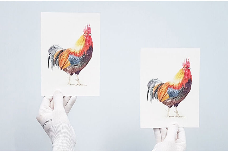 Cách chia giấy A4 thành 2 phần trong Word - Ảnh 02