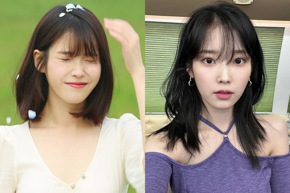 Mái thưa Hàn Quốc IU